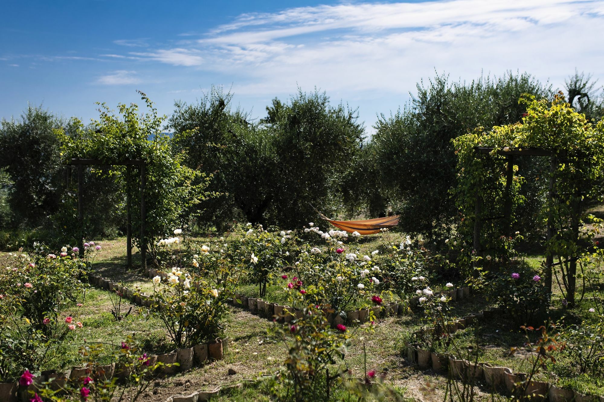 Orvieto Aroma Rooms 2 Buitenkant foto